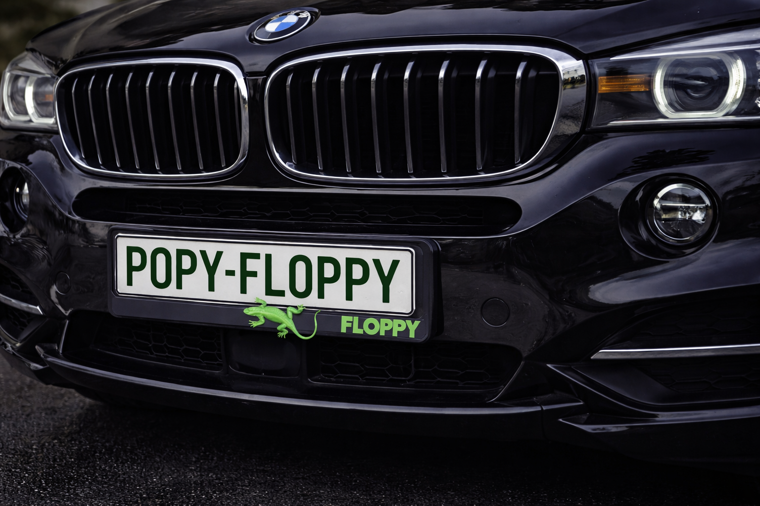 Рамка Гущер — монтирана на BMW, предна табела