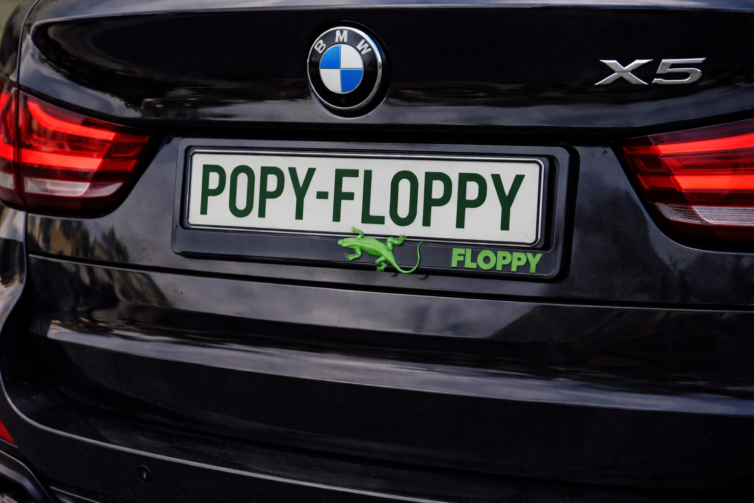 Рамка Гущер — монтирана на BMW, задна табела