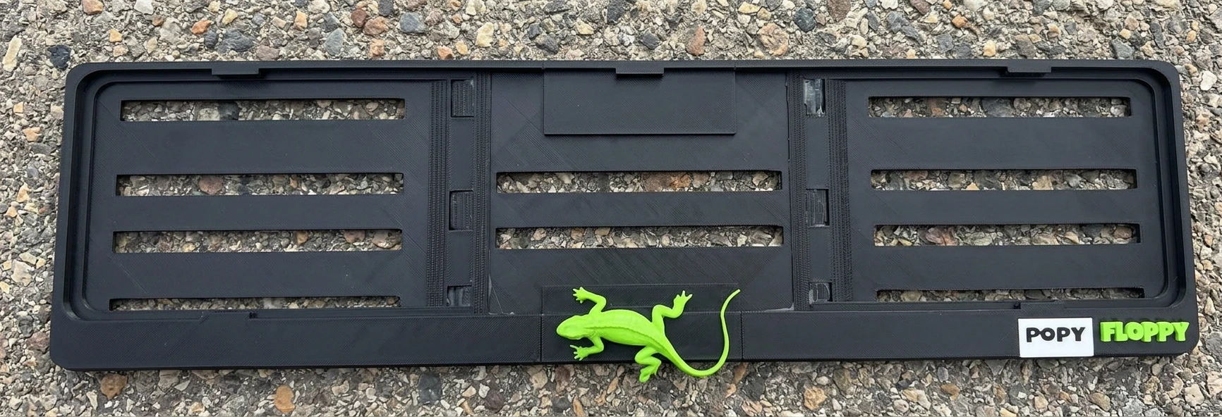 Lizard number plate underlay — flat top view showing gecko detail