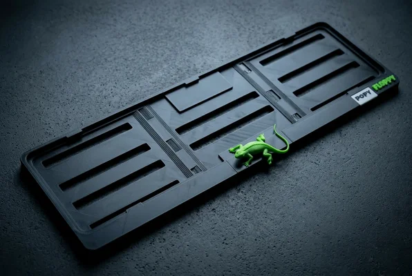 Lizard — urban standard registration plate underlay by Popy Floppy